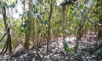 Imagem 7: Terreno de 1.500 metros junto a natureza !!!! Pendotiba