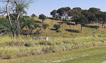 Imagem 2: Área à venda, 125000 m² por R$ 43.750.000,00 - Jardim São Francisco - Louveira/SP