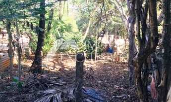 Imagem 6: Lote/Terreno à Venda, Chácaras Pedro Corrêa de Carvalho - Ribeirão Preto