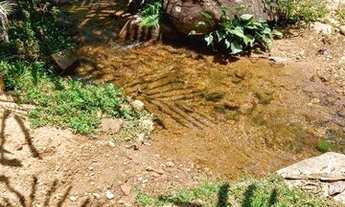 Imagem 5: Fazenda na Bahia: Cacau, Nascentes - Jaguaquara
