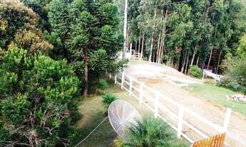 Imagem 5: Excelente Chácara