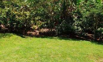 Imagem 4: Fazenda na Bahia: Cacau, Nascentes - Jaguaquara