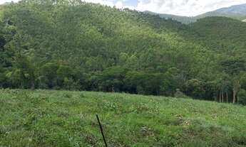 Imagem 5: Lotes com preços que cabem no seu bolso !