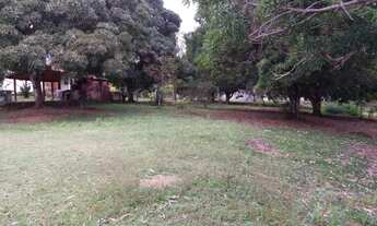 Imagem 5: Terreno de 75000m2 com Casa de 5/4 - Abrantes