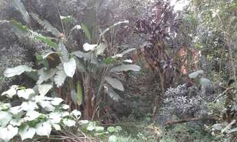 Imagem 3: TERRENO RESIDENCIAL em Cotia - SP, Cotia