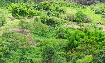 Imagem 7: Lotes/Terrenos para venda tem 7.150m² a 9.400m² em Itaipava - Petrópolis - RJ