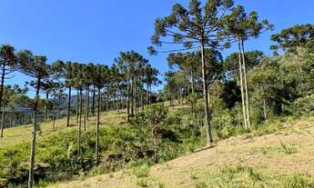 Imagem 7: Sítio em Urubici/ Terrenos em Urubici
