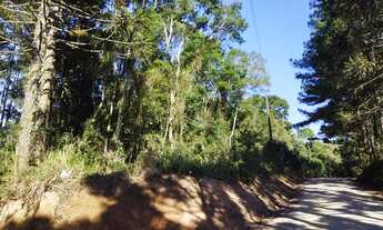 Imagem 5: Chácara Campo Largo -São Silvestre 2.594m² Registro Imóveis, 55Km Curitiba