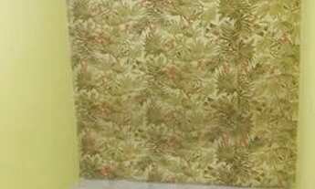 Imagem 2: Aluga-se uma casa