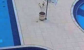 Imagem 2: Caldas novas casa da madeira centro