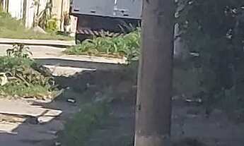 Imagem 6: Terreno grande com alicerce