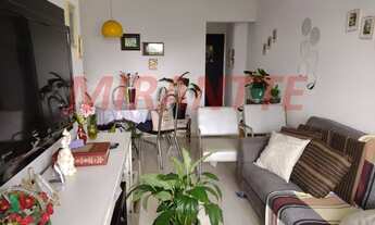 Imagem 2: Lindo apartamento em Vila Amalia