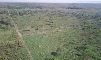 Imagem: Fazenda c/ 880he, aprox. 500he abertos/juquirados