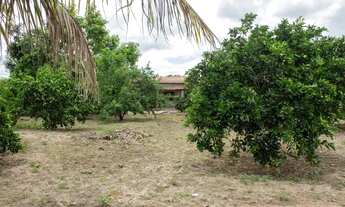 Imagem 4: Chácara em Feira de Santana