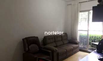 Imagem 4: Apartamento com 2 dormitórios à venda, 50 m² - Cambuci - São Paulo/SP