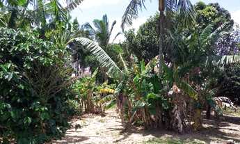 Imagem 5: Vendo Casa Serraria