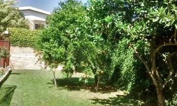 Imagem 3: Casa com 3 dormitórios e amplo pátio com grama