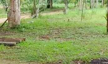 Imagem 3: Lote/Terreno para venda com 1000 metros quadrados em Cacau Pirera - Iranduba - AM