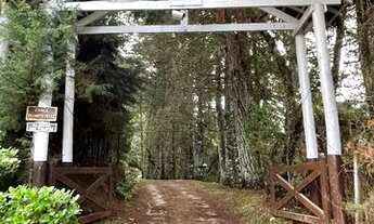 Imagem 2: Terreno em condomínio de alto padrão em Campos do Jordão