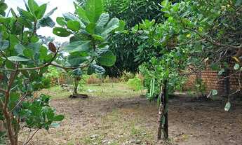 Imagem 11: Aluguel por temporada na terra do caranguejo