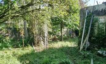 Imagem 3: Chácara a 800 metros da rodovia sendo 3 dormitórios