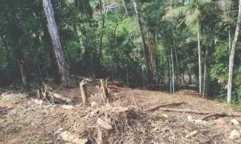 Imagem 3: Terreno, Lote em Marechal Floriano