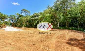 Imagem 3: Terreno à venda, 2009 m² por R$ 1.950.000,00 - Pilarzinho - Curitiba/PR