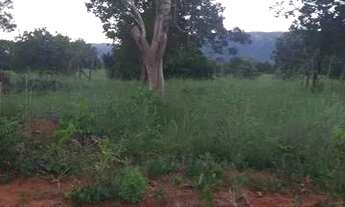 Imagem: Fazenda Goiás São João da Aliança