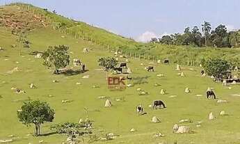 Imagem 4: Área à venda, 492588 m² por R$ 10.000.000,00 - Jardim Alvorada - Jacareí/SP