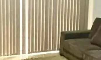 Imagem 2: Casa à venda na Vila Alpes em São Carlos/SP