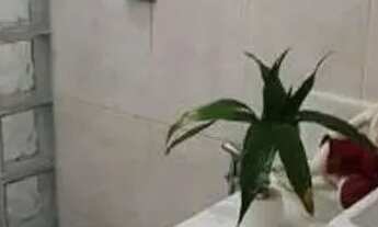 Imagem 2: Casa em Americana