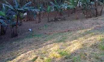 Imagem 6: AREA - JARDIM PROFESSOR BENOÁ - SP