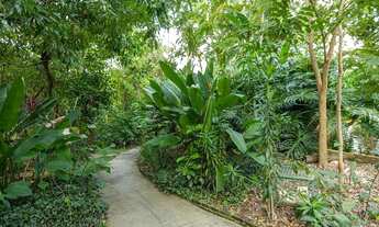 Imagem 5: Belvedere 1 - Preço de ocasião