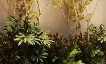 Imagem 5: Apartamento à venda no PLAZA MAYOR , TAMARINEIRA, Recife, PE