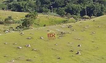 Imagem: Área à venda, 492588 m² por R$ 10.000.000,00