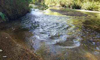Imagem 7: PREÇO DE BANANA: SITIO DE 12HECTARES COM MUITA AGUA EM PATROCÍNIO!!