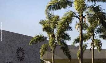 Imagem 4: Abitte Champagne, Vinhedos Oliveiras, Cuiabá