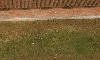 Imagem 2: Haras Cabanha Chácara com venda por R$1.500.000