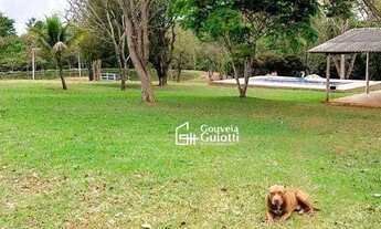 Imagem 6: Chácara com 1 Alqueire e 17 Litros em Vianópolis - GO