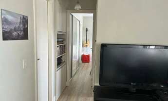 Imagem 3: Excelente oção no Terra Nova Vista Alegre