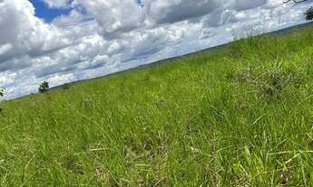 Imagem: Fazenda a venda em Mineiros - Goiás!