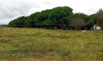 Imagem 6: Fazendinha de 50 hectares próximo da cidade de Cuiabá MT