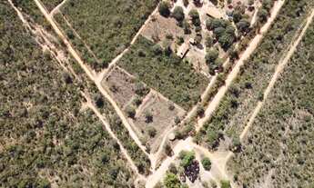 Imagem 3: Chácara em Mirabela