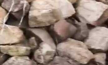 Imagem 2: Terreno 10 de frente por 22 de fundo!