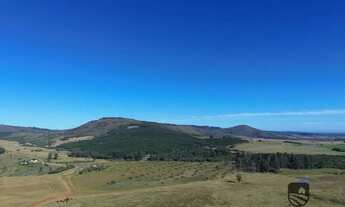 Imagem 6: Fazenda com 686ha em Arroio dos Ratos