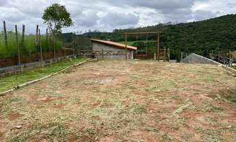 Imagem 2: Aceito veículos e Proposta