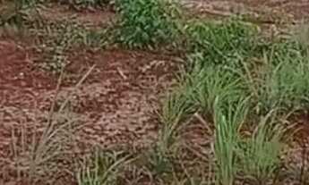 Imagem 4: Vendo terreno de 2000 metros ou só 1000 metros