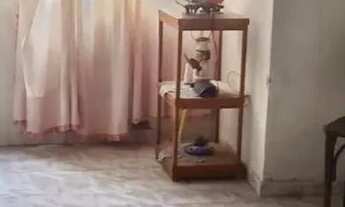 Imagem 7: Casa residencial para Venda em rua pública, Centro, Itaberaba, 3 quartos, 1 sala, 2 banhei