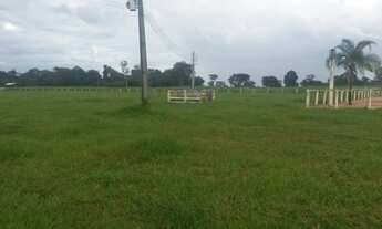 Imagem 3: Fazenda à venda com 2.366 Hectares no município de Barra do Garças MT valor 60.000.000,00
