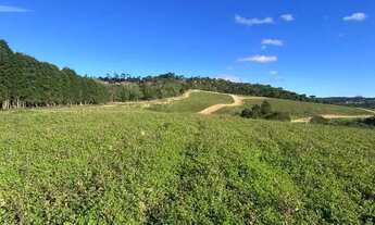 Imagem 10: Terreno de 600m² em bairro residencial R$50.000 à vista, entre em contato